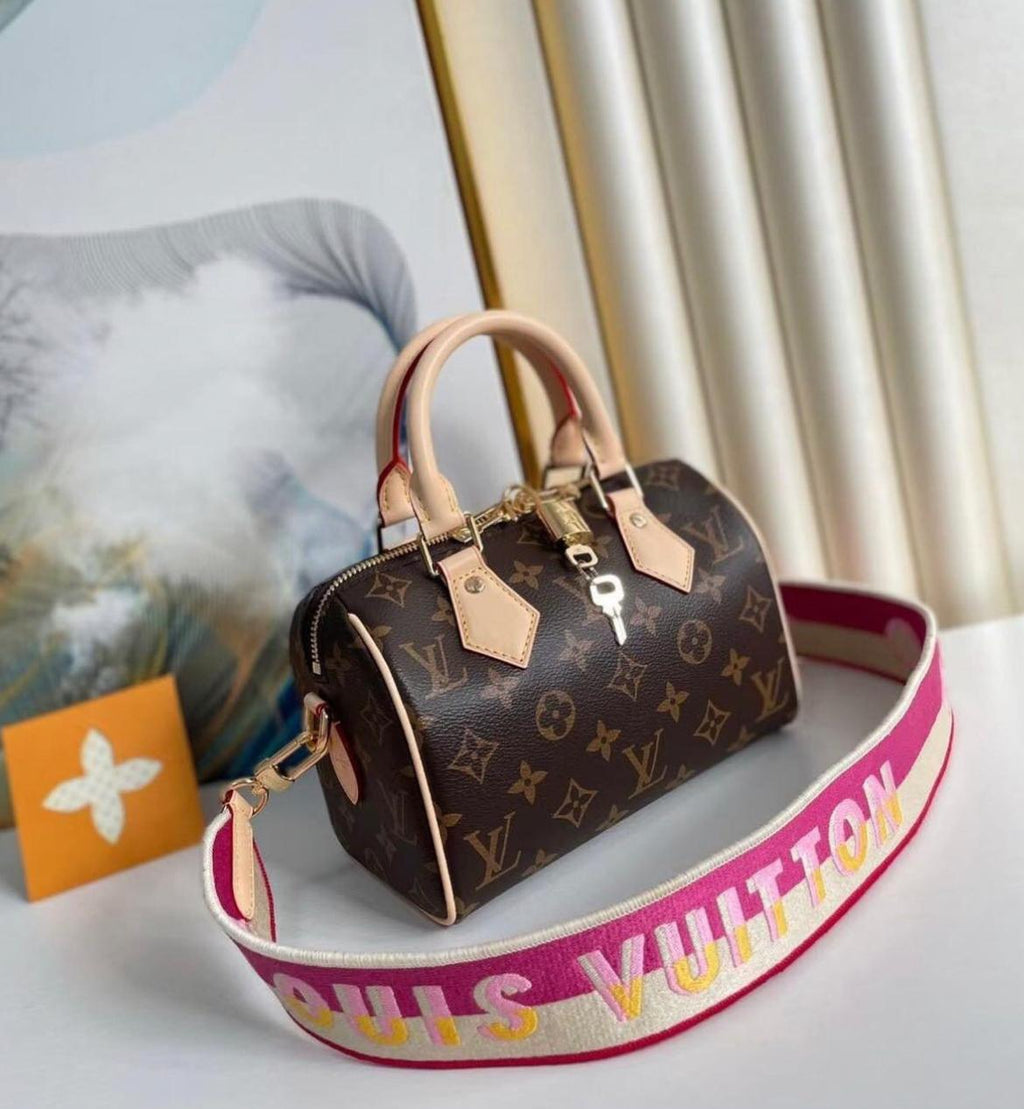 Louis Vuitton Speedy 30 in Tela Monogram
