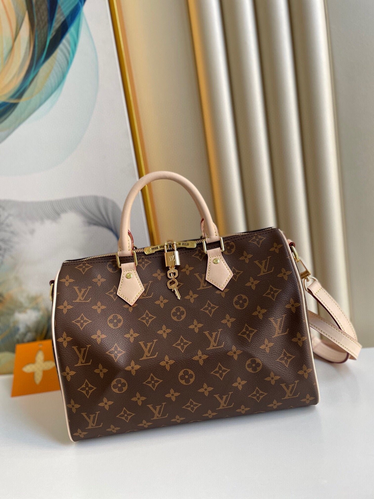 Louis Vuitton Speedy 30 in Tela Monogram 1