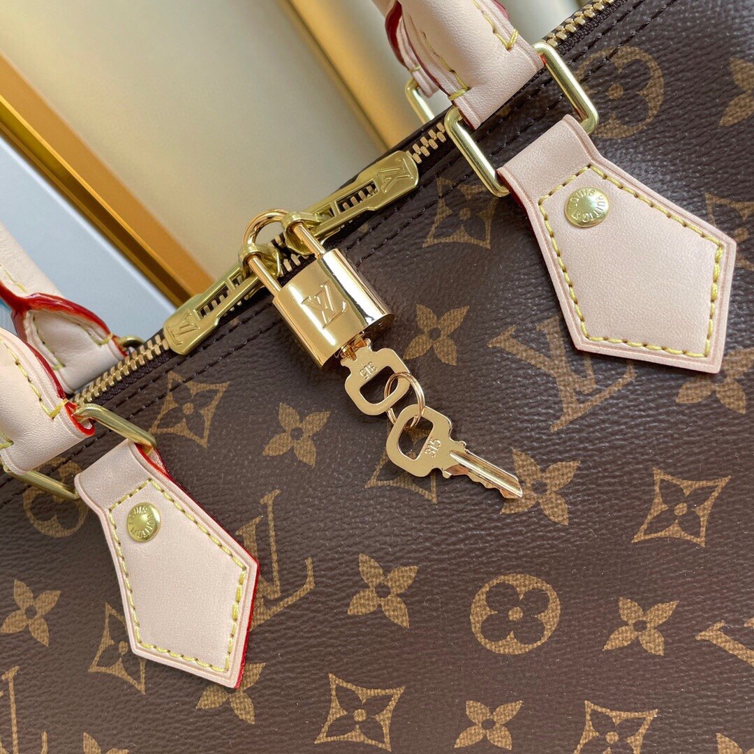 Louis Vuitton Speedy 30 in Tela Monogram 1