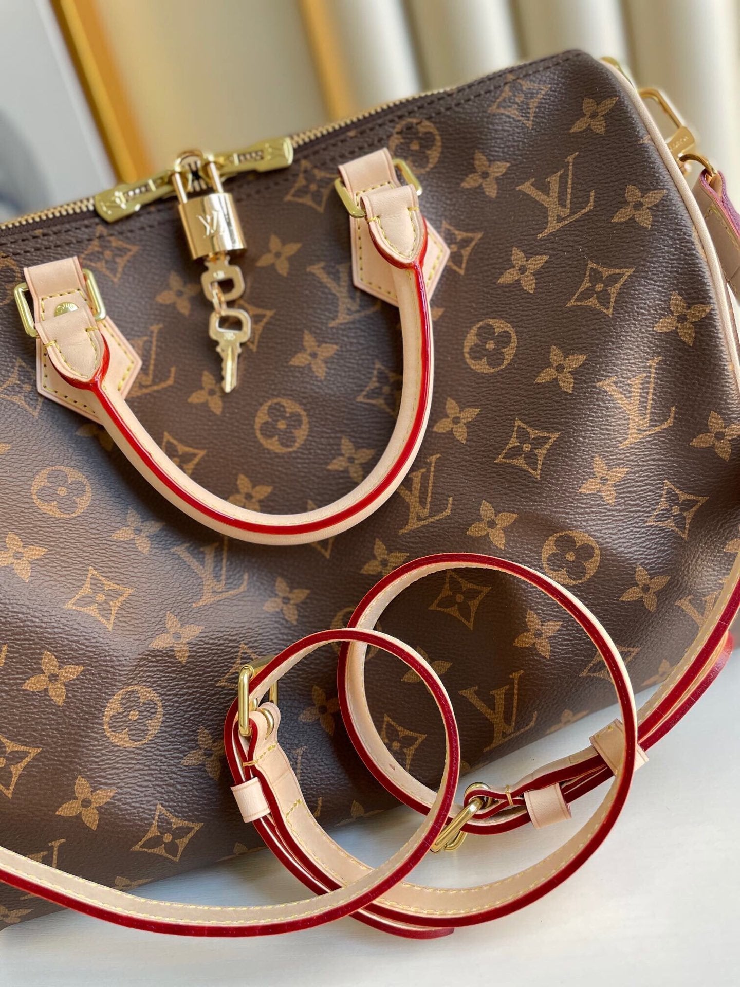 Louis Vuitton Speedy 30 in Tela Monogram 1